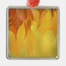 Pesquisar por simetria ornamentos Natureza