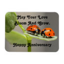 Pesquisar por ladybug imas Fofo