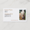 Pesquisar por imagem do cavalo cartao de visita Cavalos