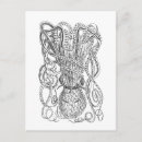 Pesquisar por animais vintage cartoes postais Desenho