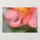 Pesquisar por atrativo convites Flor