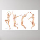 Pesquisar por anatomia pósteres Ossos