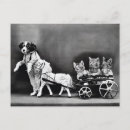 Pesquisar por cães vintage cartoes postais Animais