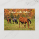 Pesquisar por escola equitação cartao de visita Fazendas