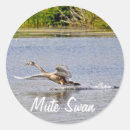 Pesquisar por wildlife adesivos Animais