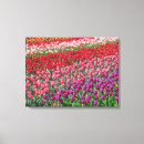 Pesquisar por arte da tulipa impressão de canvas Tulipas