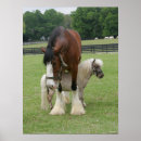 Pesquisar por cavalo clydesdale artes pósteres Raça