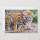 Pesquisar por de cubo cartoes Tigre