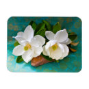 Pesquisar por plantas de jardim imas Flor