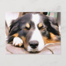 Pesquisar por border cartoes postais Animal