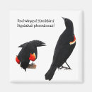 Pesquisar por vermelho voado Animais selvagens