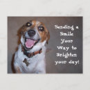 Pesquisar por smile cartoes postais Cachorros