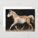 Pesquisar por curly cartoes postais Bob langre