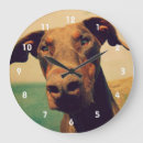 Pesquisar por doberman relogios de parede Doberista