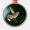 Pesquisar por colibris ornamentos Para todos