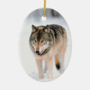 Pesquisar por holiday ornamentos Winter