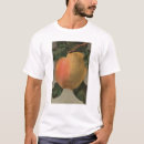 Pesquisar por chromo camisetas Califórnia