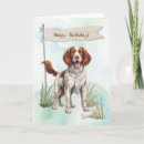 Pesquisar por spaniel de springer cartoes Feliz aniversário
