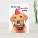 Pesquisar por o labrador feliz cartoes Qualquer pessoa