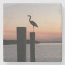 Pesquisar por pelicano porta copos Tropical