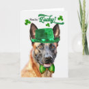 Pesquisar por malinois Cães