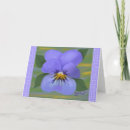 Pesquisar por viola cartoes Floral