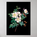 Pesquisar por fundo floral preto branco artes pósteres Para ela