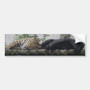 Pesquisar por leopardo do adesivos carros Animais