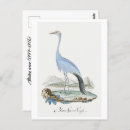 Pesquisar por guindaste azul cartoes postais Pássaro