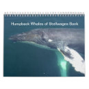 Pesquisar por baleia de humpback Cabo
