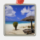 Pesquisar por cocos ornamentos Tropical