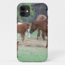 Pesquisar por cavalos do amor capas Para todos