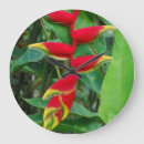 Pesquisar por heliconia Vermelho