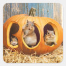 Pesquisar por chipmunk adesivos Avanti press