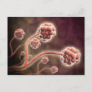 Pesquisar por tridimensionais cartoes postais Ilustração