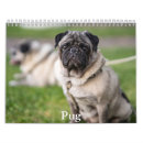 Pesquisar por pug calendarios Animal