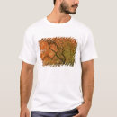 Pesquisar por jardim de vitória camisetas Colorido