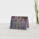 Pesquisar por fundo floral cartoes Lavanda