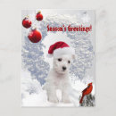 Pesquisar por west highland terrier cartoes Pet