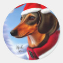 Pesquisar por dachshund adesivos Papais noeis
