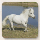 Pesquisar por diminuto porta copos Prumo langrish