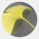 Pesquisar por ginkgo adesivos Folha