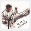 Pesquisar por taekwondo adesivos Tkd