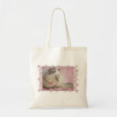 Pesquisar por ragdoll bolsas Gatinho