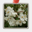 Pesquisar por tropical floral ornamentos Tropicais