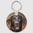 Pesquisar por chocolate labrador chaveiros Engraçado