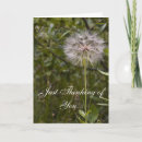 Pesquisar por a bíblia sagrada cartoes Para todos