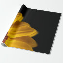 Pesquisar por fundo preto flores papel de presente Design floral