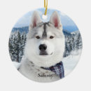 Pesquisar por pet photo ornamentos Qualquer pessoa