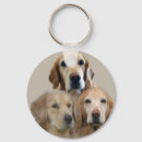 Pesquisar por do golden retriever chaveiros Ouro